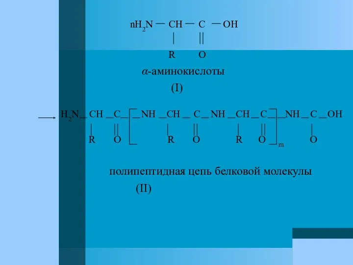 nH2N CH C OH R O α-аминокислоты (I) H2N CH