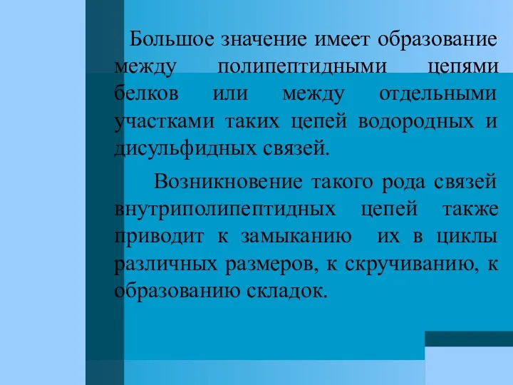 Большое значение имеет образование между полипептидными цепями белков или между