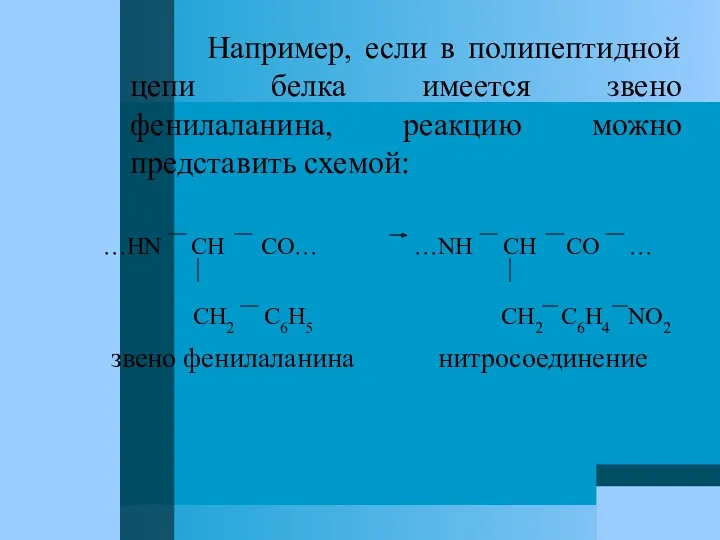 Например, если в полипептидной цепи белка имеется звено фенилаланина, реакцию