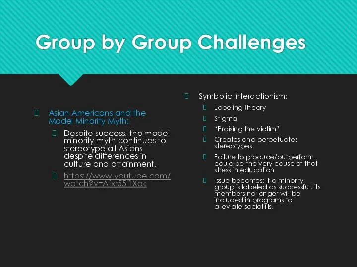Group by Group Challenges Asian Americans and the Model Minority