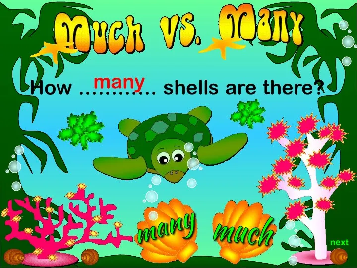 much How ………… shells are there? many next many