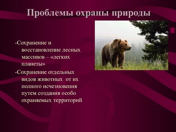 -Сохранение и восстановление лесных массивов – «легких планеты» -Сохранение отдельных