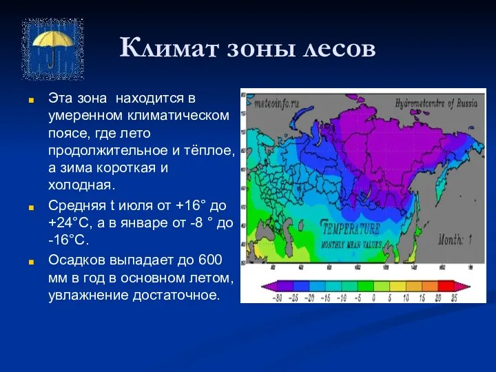 Климат зоны лесов Эта зона находится в умеренном климатическом поясе,