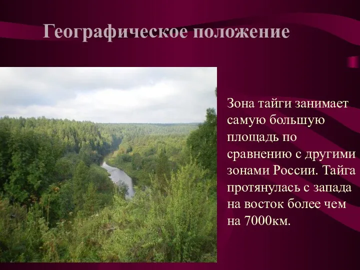 Зона тайги занимает самую большую площадь по сравнению с другими