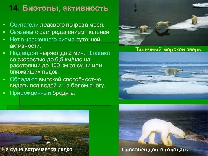 14. Биотопы, активность Обитатели ледового покрова моря. Связаны с распределением