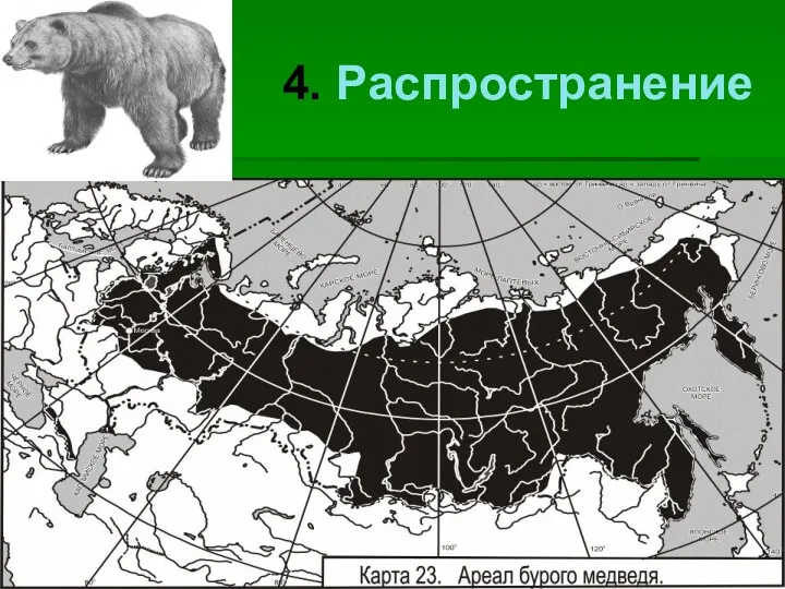 4. Распространение