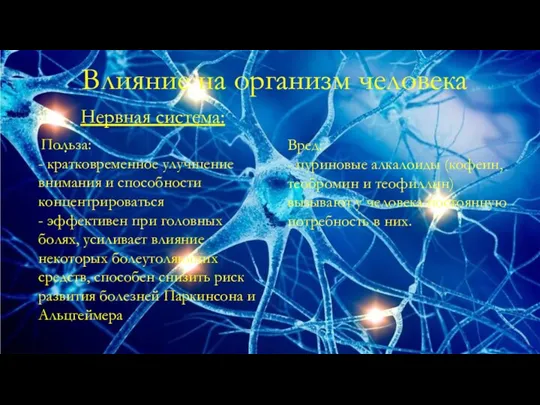 Влияние на организм человека Нервная система: -. Польза: - кратковременное