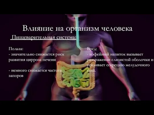 Влияние на организм человека Пищеварительная система: Польза: - значительно снижается