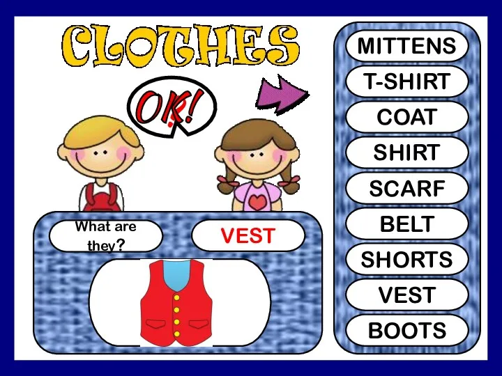 What are they? VEST ? MITTENS T-SHIRT COAT SHIRT SCARF BELT SHORTS VEST BOOTS OK!