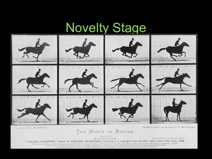Novelty Stage How do you make images MOVE??? Flip book Eadweard Muybridge: pioneer 700 cameras/trotting horse