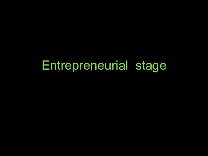 Entrepreneurial stage