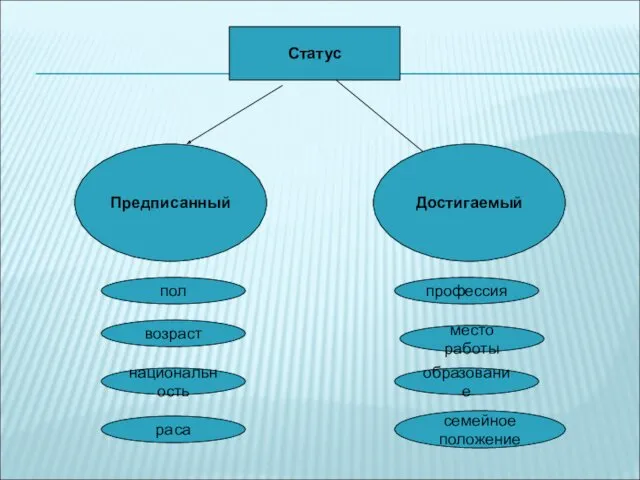 Статус Предписанный Достигаемый пол возраст национальность раса образование место работы профессия семейное положение