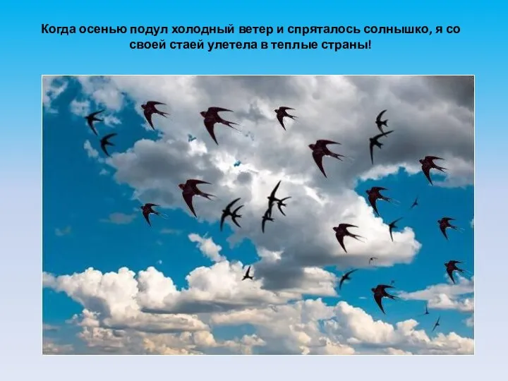 Когда осенью подул холодный ветер и спряталось солнышко, я со своей стаей улетела в теплые страны!