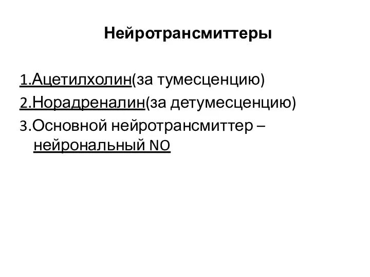 Нейротрансмиттеры 1.Ацетилхолин(за тумесценцию) 2.Норадреналин(за детумесценцию) 3.Основной нейротрансмиттер – нейрональный NO