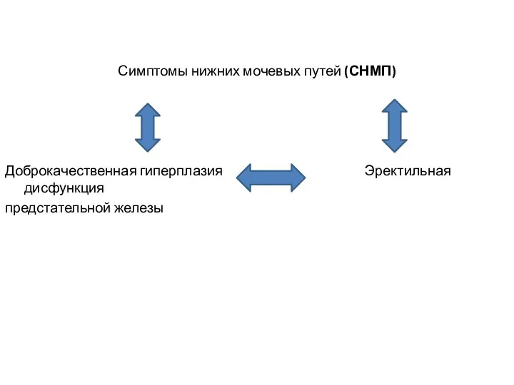 Симптомы нижних мочевых путей (СНМП) Доброкачественная гиперплазия Эректильная дисфункция предстательной железы