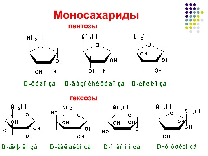 Моносахариды пентозы гексозы