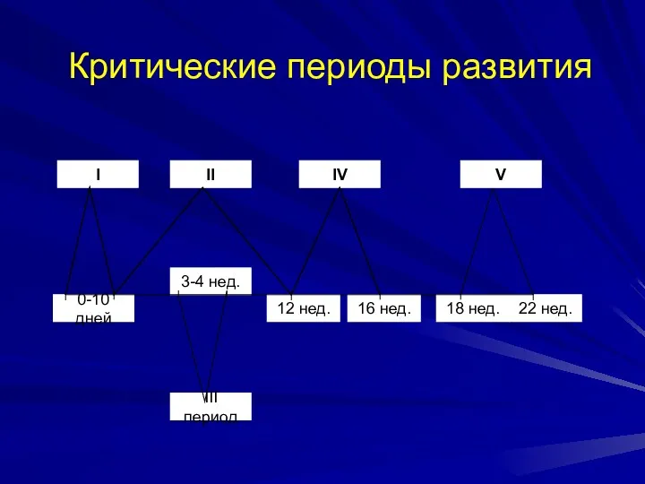 Критические периоды развития