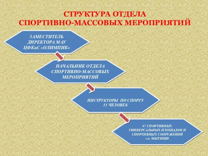 СТРУКТУРА ОТДЕЛА СПОРТИВНО-МАССОВЫХ МЕРОПРИЯТИЙ ЗАМЕСТИТЕЛЬ ДИРЕКТОРА МАУ ЦФКиС «ОЛИМПИК» НАЧАЛЬНИК