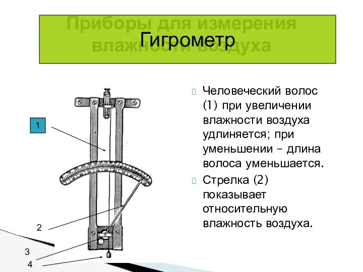 Приборы для измерения влажности воздуха Человеческий волос (1) при увеличении