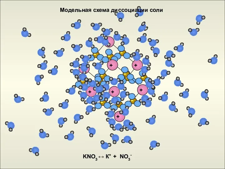 KNO3 ↔ К+ + NO3- Модельная схема диссоциации соли