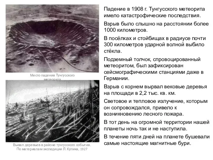 Вывал деревьев в районе тунгусского события. По материалам экспедиции Л.