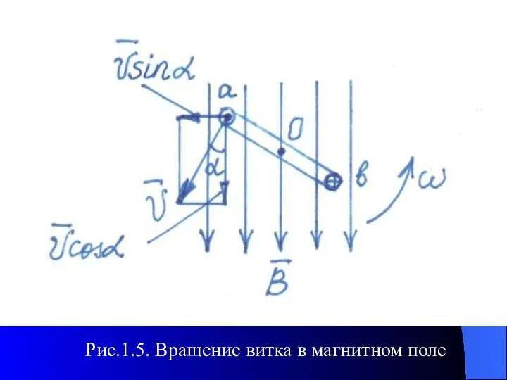 Рис.1.5. Вращение витка в магнитном поле