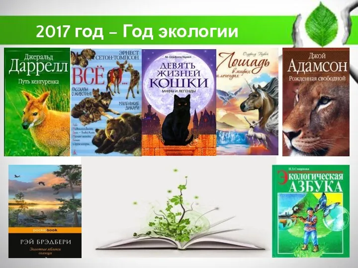 2017 год – Год экологии