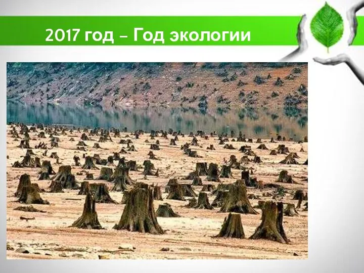 2017 год – Год экологии