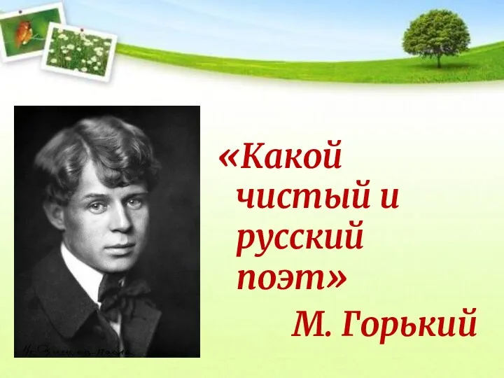 «Какой чистый и русский поэт» М. Горький