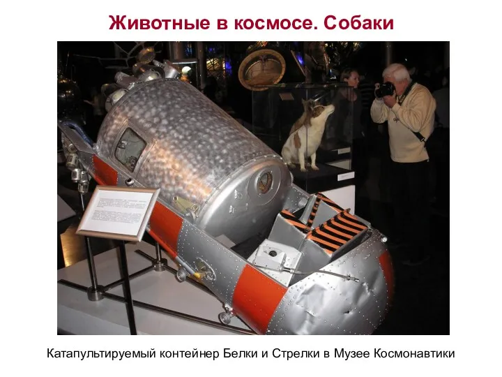 Животные в космосе. Собаки Катапультируемый контейнер Белки и Стрелки в Музее Космонавтики