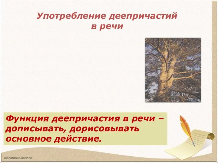 Употребление деепричастий в речи Прочитайте отрывок из сказки-были М.М.Пришвина. Какими