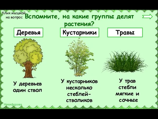 Вспомните, на какие группы делят растения? Деревья Кустарники Травы Клик