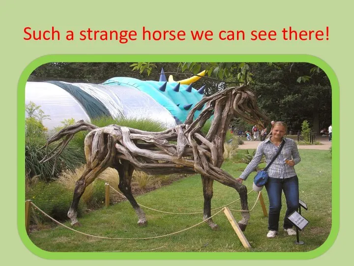 Such a strange horse we can see there!