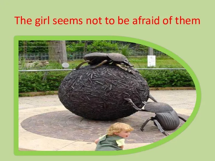 The girl seems not to be afraid of them