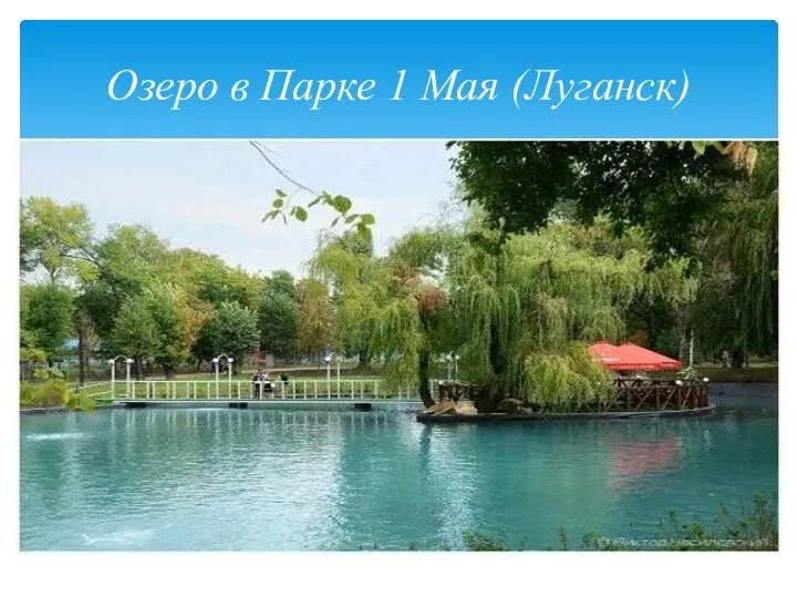 Озеро в Парке 1 Мая (Луганск)