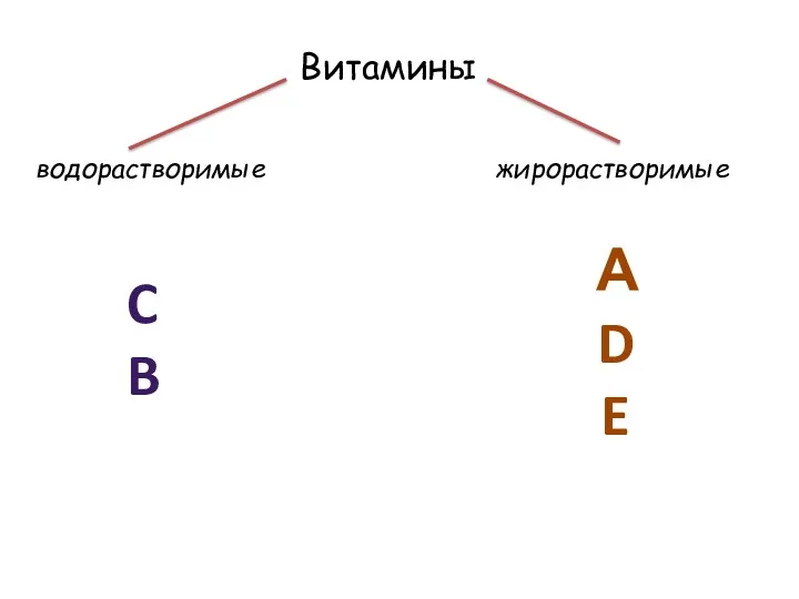 Витамины водорастворимые жирорастворимые А D E C B