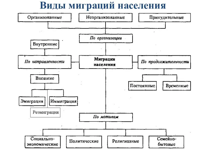 Виды миграций населения