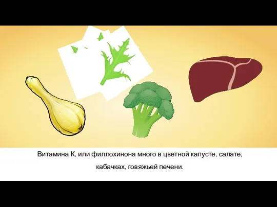 Витамина К, или филлохинона много в цветной капусте, салате, кабачках, говяжьей печени.