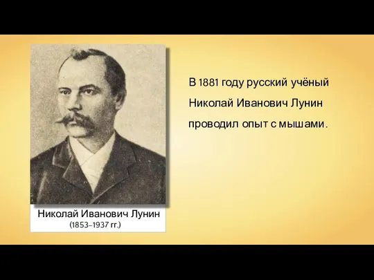 Николай Иванович Лунин (1853–1937 гг.) В 1881 году русский учёный