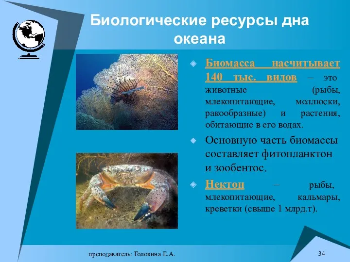 преподаватель: Головина Е.А. Биологические ресурсы дна океана Биомасса насчитывает 140 тыс. видов –
