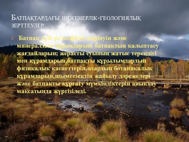 Батпақтардағы инженерлік-геологиялық зерттеулер Батпақ түбі рельефінің көрінуін және минералдың құрамдарын;