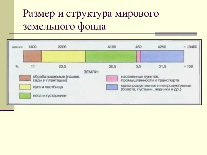 Размер и структура мирового земельного фонда