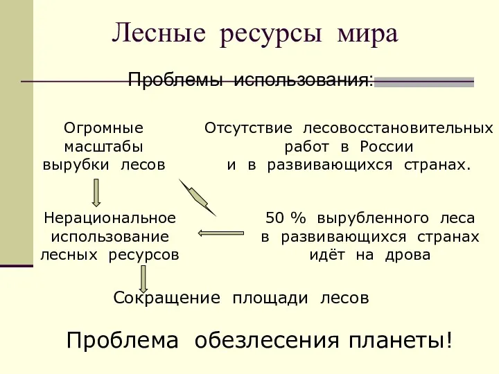 Лесные ресурсы мира Сокращение площади лесов Нерациональное использование лесных ресурсов