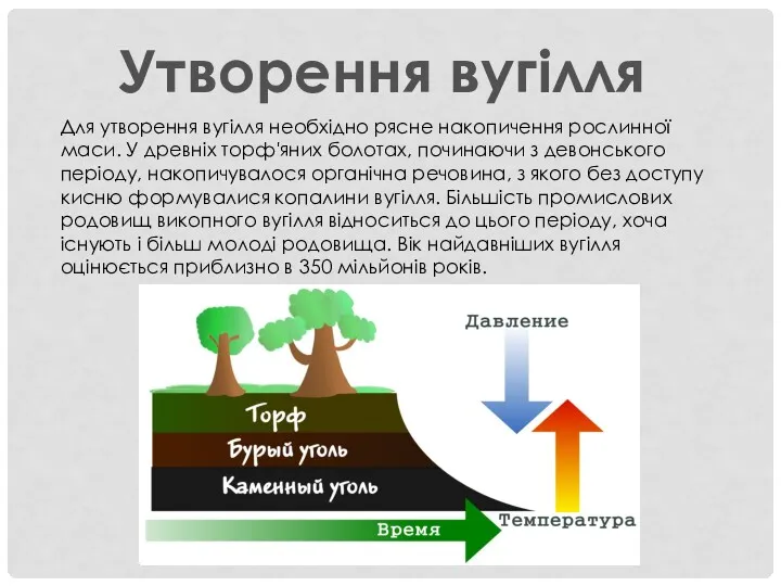 Для утворення вугілля необхідно рясне накопичення рослинної маси. У древніх