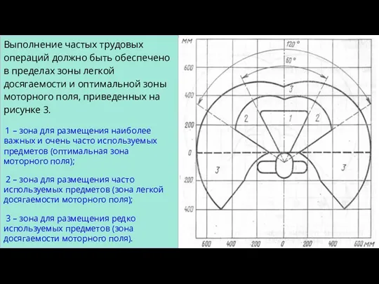 Выполнение частых трудовых операций должно быть обеспечено в пределах зоны