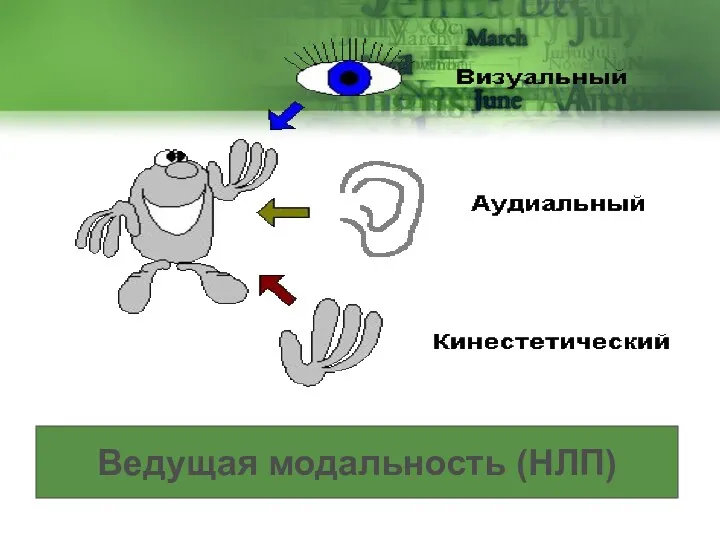 Ведущая модальность (НЛП)