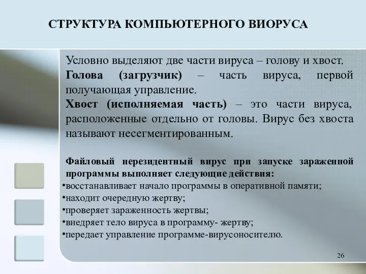 Условно выделяют две части вируса – голову и хвост. Голова