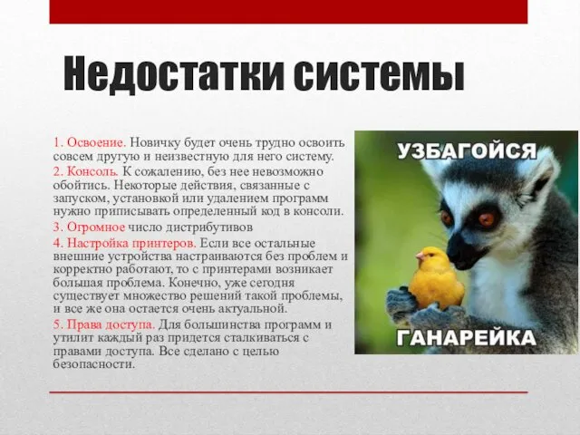 Недостатки системы 1. Освоение. Новичку будет очень трудно освоить совсем