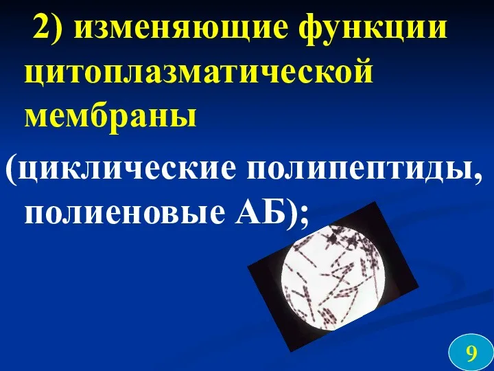 2) изменяющие функции цитоплазматической мембраны (циклические полипептиды, полиеновые АБ); 9