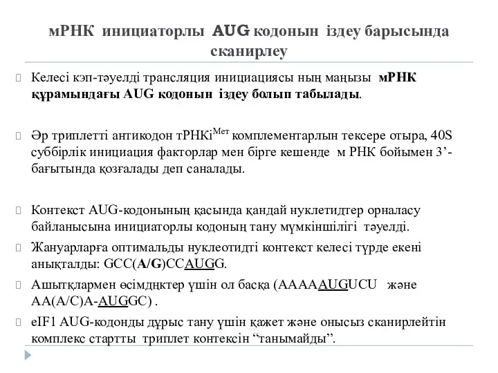 мРНК инициаторлы AUG кодонын іздеу барысында сканирлеу Келесі кэп-тәуелді трансляция инициациясы ның маңызы